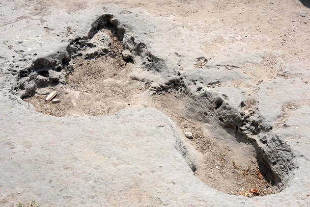 delft island, Sri Lanka